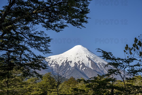 Osorno Volcano, Puerto Varas, Los Lagos, Chile, South America