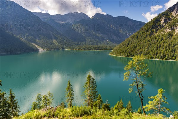 Plansee and Ammergau Alps, Tyrol, Austria, Europe