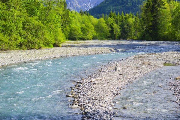 Trettach, Trettachtal near Oberstdorf, Allgaeu, Bavaria, Germany, Europe