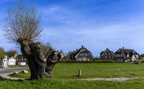 Holiday home development on the Baltic Sea beach, Ruegen, Mecklenburg-Vorpommern, Germany, Europe