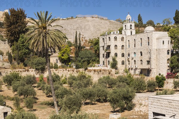 Cemetery with olive trees at the foot of the fortified stone wall of the Old City of Jerusalem, Israel, Asia