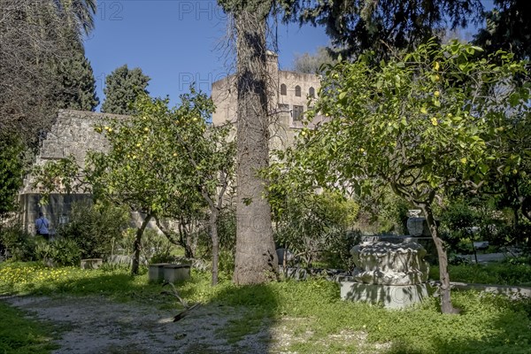 Garden of the Archaeological Museum, former hospital of the Order of St John, 15th century, Old Town, Rhodes Town, Greece, Europe