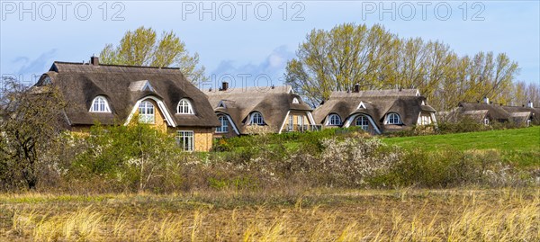 Holiday home development on the Baltic Sea beach, Ruegen, Mecklenburg-Vorpommern, Germany, Europe