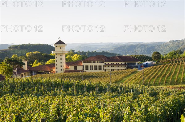 Bento Golcalves, Brasil, April 07, 2017: Luxury Winery, Vineyard of grapes in the Vale dos Vinhedos in Bento Goncalves, a gaucho wine