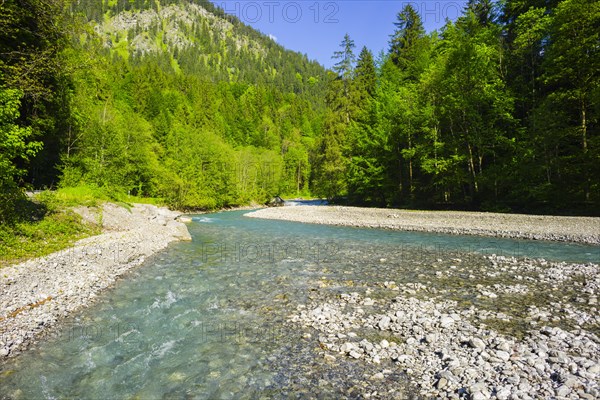 Trettach, Trettachtal near Oberstdorf, Allgaeu, Bavaria, Germany, Europe