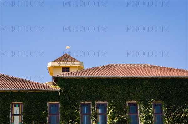 Bento Golcalves, Brasil, April 07, 2017: Luxury Winery, Vineyard of grapes in the Vale dos Vinhedos in Bento Goncalves, a gaucho wine