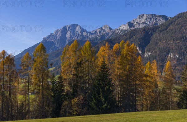 Landscape panorama, Pinzgau, Autumn