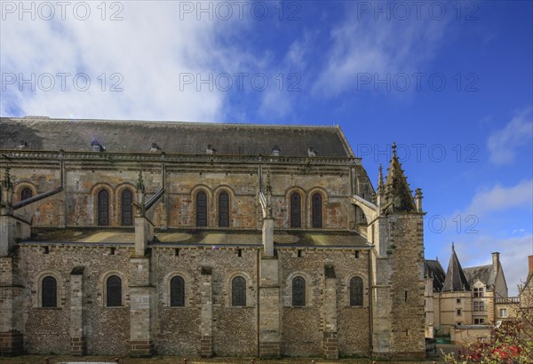 Romanesque nave, Romanesque-Gothic Saint-Julien du Mans Cathedral, Le Mans, Sarthe department, Pays de la Loire region, France, Europe