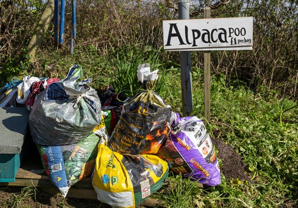 Bags of Alpaca poo on sale, Bawdsey, Suffolk, England, UK