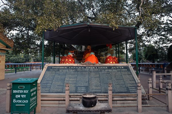 Sacred Bodhi tree campus, Buddhist pilgrimage site, Sarnath, India, Asia