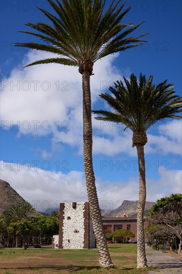 Two Palm trees in front of the Torre del Conde, Tower of the Count, medieval tower in the park, Parque de la Torre, San Sebastian de La Gomera, La Gomera, Canary Islands, Spain, Europe