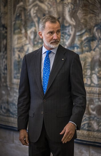 His Majesty Felipe VI, King of Spain, pictured on the occasion of his participation in the Conference of Presidents of the Parliaments of the European Union