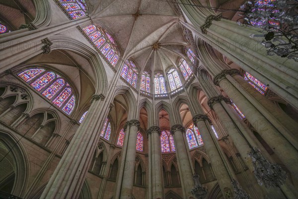 Choir vault, Omani-Gothic Saint-Julien du Mans Cathedral, Le Mans, Sarthe department, Pays de la Loire region, France, Europe