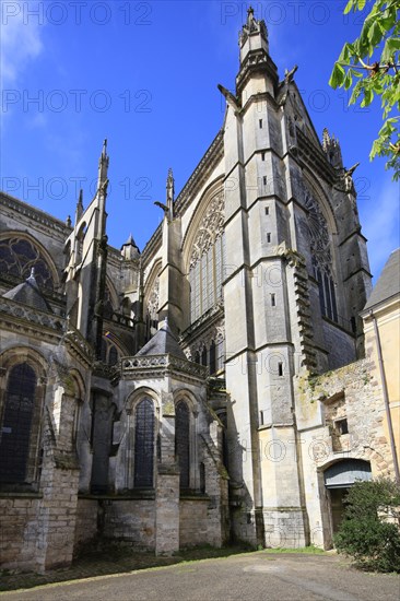 Transept, Romanesque-Gothic Saint-Julien du Mans Cathedral, Le Mans, Sarthe department, Pays de la Loire region, France, Europe