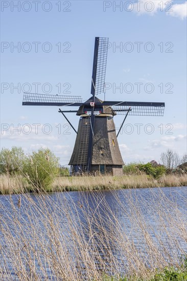 A windmill next to a body of water, surrounded by reeds under a sunny blue sky, many historic windmills by a river in the middle of fields, Kinderdijk, Netherlands