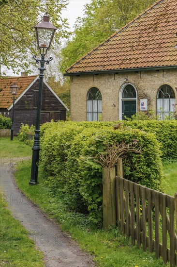 A house with a tiled roof and lamppost along a path, surrounded by green hedges, old houses with green gardens in a small village, nes, ameland, the netherlands