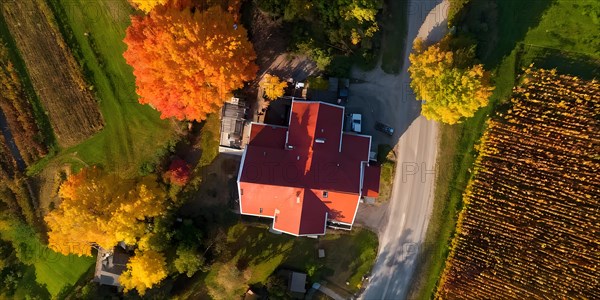 Aerial view of a rustic vineyard cottage nestled in a canopy of vines leaves showcasing autumns color palette in the golden hour, AI generated