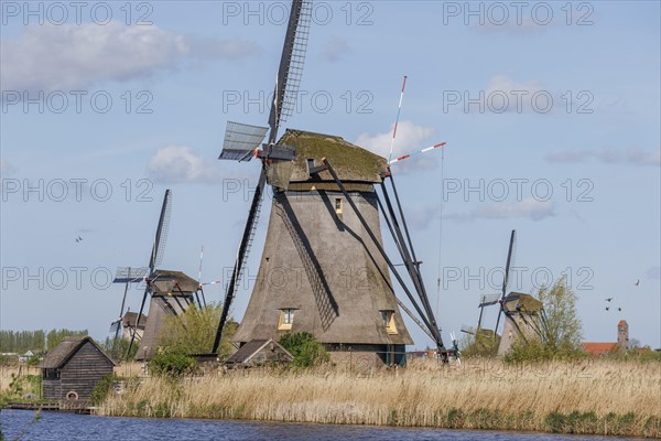 Windmills and a shed next to a body of water, surrounded by reeds under a cloudy sky, many historic windmills by a river in the middle of fields, Kinderdijk, Netherlands