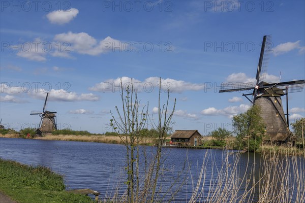 Several windmills next to a body of water and a path, surrounded by reeds under a cloudy sky, many historic windmills by a river in the middle of fields, Kinderdijk, Netherlands