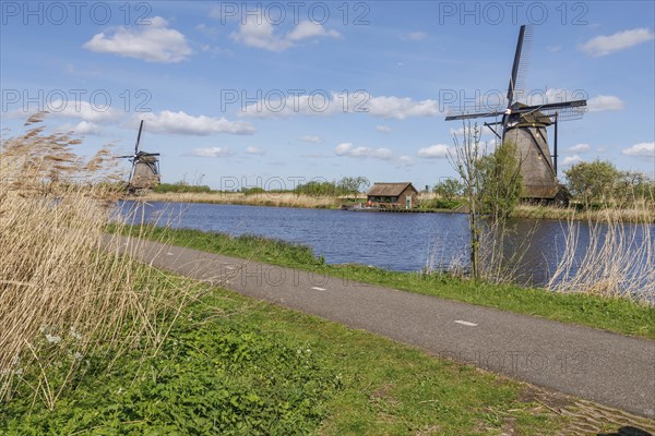 Several windmills next to a body of water and a path, surrounded by reeds under a cloudy sky, many historic windmills by a river in the middle of fields, Kinderdijk, Netherlands