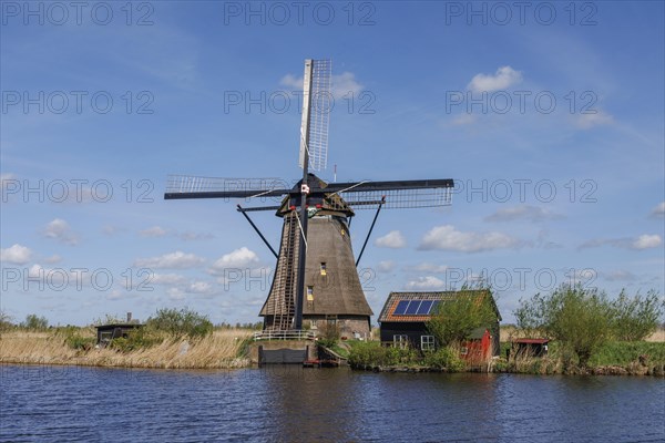 A windmill and a shed next to a body of water, surrounded by reeds under a sunny blue sky, many historic windmills by a river in the middle of fields, Kinderdijk, Netherlands