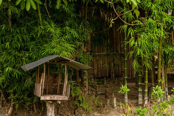 Thai spirit house mounted on a pillar with buildings and bamboo trees in background in Chiang Khan, Thailand, Asia