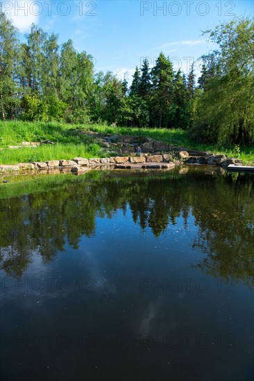 Pond in a natural garden, practical nature conservation, biotope for insects, amphibians and birds, swimming pond with near-natural design, Germany, Europe