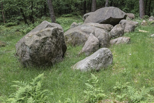 Large stone tomb from the Neolithic period, Holte-Lastrup, Emsland, Lower Saxony, Germany, Europe