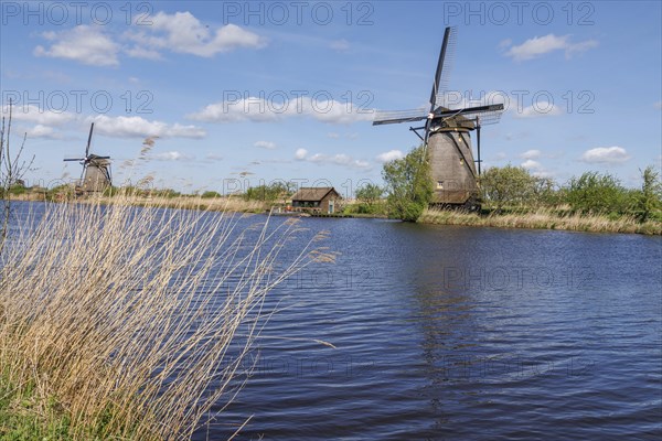 Two windmills next to a body of water, surrounded by reeds under a cloudy sky, many historic windmills on a river in the middle of fields, Kinderdijk, Netherlands