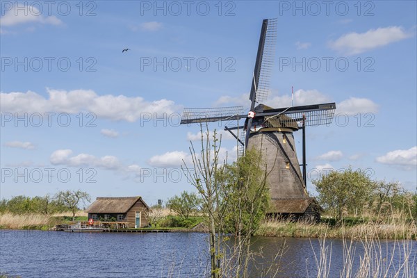 A windmill and a shed next to a body of water, surrounded by reeds under a sunny sky, many historic windmills by a river in the middle of fields, Kinderdijk, Netherlands