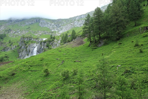 Umbaltal, Umbal Falls, Hohe Tauern National Park, East Tyrol, Austria, Europe