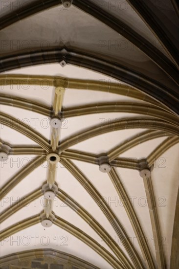 The church Iglesia de San Anton at the river Nervion in Bilbao, Gothic ceiling with ribbed vault made of stone in a church, The church Iglesia de San Anton at the river Nervion in Bilbao. Built in 1510, the church is a Catholic place of worship in the historic centre. It is built in the Gothic style with Baroque elements, BILBAO, Spain, Europe