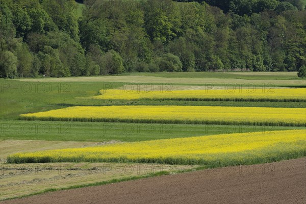 Middle Jagst valley in spring, May, river valley, river, Jagst, Baechlingen, Langenburg-Baechlingen, Langenburg an der Jagst, Hohenlohe, Heilbronn-Franken, Baden-Wuerttemberg, Germany, Europe