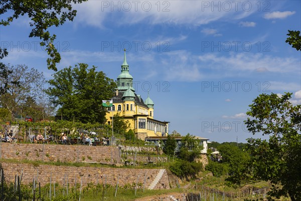 Weingut am Goldenen Wagen. The Spitzhaus is a former summer residence in the Saxon town of Radebeul. The building, which can be seen from afar, is located on the edge of the slope of the Elbe valley basin above Hofloessnitz in the Oberloessnitz district. The heritage-protected (1) Radebeul landmark at Spitzhausstrasse 36 still serves as an excursion restaurant with a sweeping view over the Elbe valley and as far as Dresden, Radebeul, Saxony, Germany, even after its renovation and reopening in 1997, Europe