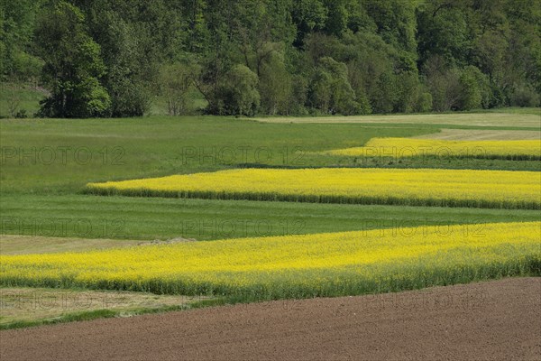 Middle Jagst valley in spring, May, river valley, river, Jagst, Baechlingen, Langenburg-Baechlingen, Langenburg an der Jagst, Hohenlohe, Heilbronn-Franken, Baden-Wuerttemberg, Germany, Europe