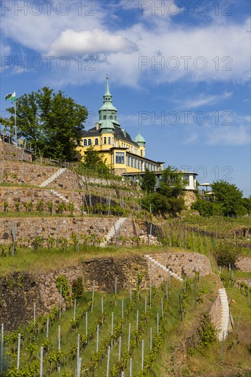 Weingut am Goldenen Wagen. The Spitzhaus is a former summer residence in the Saxon town of Radebeul. The building, which can be seen from afar, is located on the edge of the slope of the Elbe valley basin above Hofloessnitz in the Oberloessnitz district. The heritage-protected (1) Radebeul landmark at Spitzhausstrasse 36 still serves as an excursion restaurant with a sweeping view over the Elbe valley and as far as Dresden, Radebeul, Saxony, Germany, even after its renovation and reopening in 1997, Europe