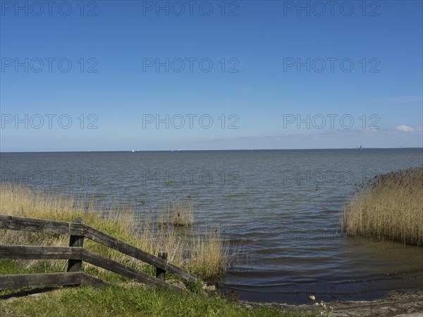 Tranquil sea view with reeds under a blue sky and peaceful atmosphere, Enkhuizen, Nirderlande