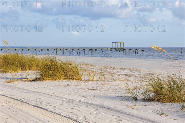 Sea oats and abandoned damaged piers along the man-made sand beach at Pass Christian, Mississippi, United States of America, USA, North America