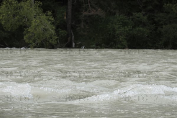 Force of nature, river, flood, high water, turbid, Isar, Bad Toelz, Bavaria, Germany, Europe