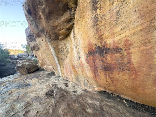 Prehistoric depiction on a rock, San rock paintings, Sevilla Art Rock Trail, Cederberg Mountains, near Clanwilliam, Western Cape, South Africa, Africa