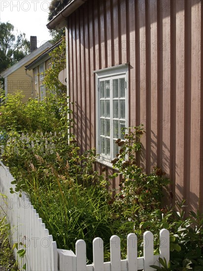 Brown house with white windows surrounded by green plants behind a white fence, colourful wooden houses behind white wooden fences, Molde, Norway, Europe