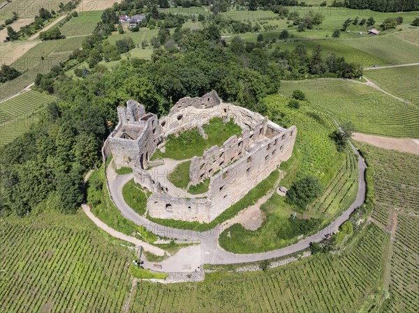 Aerial view of Staufen Castle, on a vineyard, Schlossberg, Staufen im Breisgau, Markgraeflerland, Black Forest, Baden-Wuerttemberg, Germany, Europe