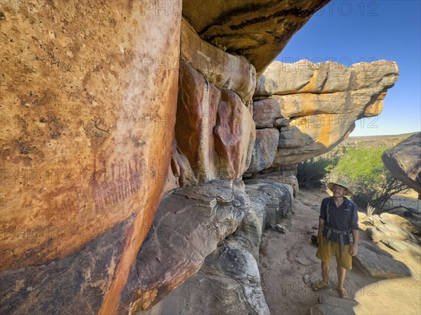 Young man looking at prehistoric depiction of woman on a rock, San rock paintings, Sevilla Art Rock Trail, Cederberg Mountains, near Clanwilliam, Western Cape, South Africa, Africa