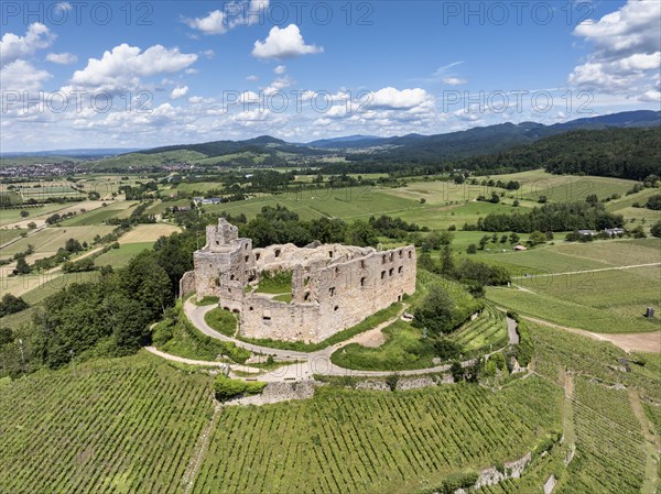 Aerial view of Staufen Castle, on a vineyard, Schlossberg, Staufen im Breisgau, Markgraeflerland, Black Forest, Baden-Wuerttemberg, Germany, Europe