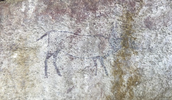 Prehistoric animal depiction of an Eland on a rock, San rock paintings, Sevilla Art Rock Trail, Cederberg Mountains, near Clanwilliam, Western Cape, South Africa, Africa