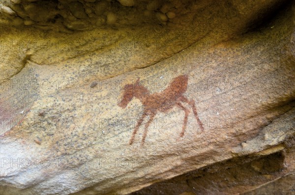 Prehistoric animal depiction on a rock, San rock paintings, Sevilla Art Rock Trail, Cederberg Mountains, near Clanwilliam, Western Cape, South Africa, Africa