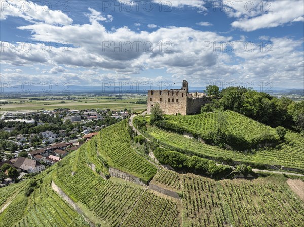 Aerial view of Staufen Castle, on a vineyard, Schlossberg, Staufen im Breisgau, Markgraeflerland, Black Forest, Baden-Wuerttemberg, Germany, Europe