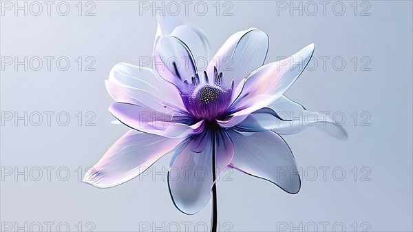 Digital rendered flower evolving in a futuristic forward botanical concept with minimalistic forms, AI generated