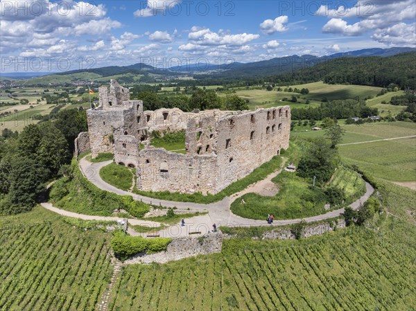 Aerial view of Staufen Castle, on a vineyard, Schlossberg, Staufen im Breisgau, Markgraeflerland, Black Forest, Baden-Wuerttemberg, Germany, Europe