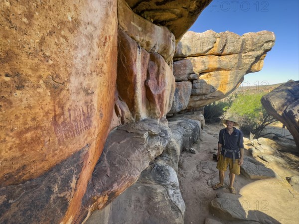 Young man looking at prehistoric depiction of woman on a rock, San rock paintings, Sevilla Art Rock Trail, Cederberg Mountains, near Clanwilliam, Western Cape, South Africa, Africa